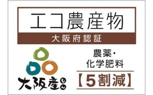 【貝塚市産】サニールージュ3～４房　1.5kg以上　2025年7月下旬より発送