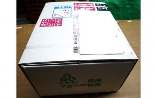 【貝塚市産】サニールージュ3～４房　1.5kg以上　2025年7月下旬より発送