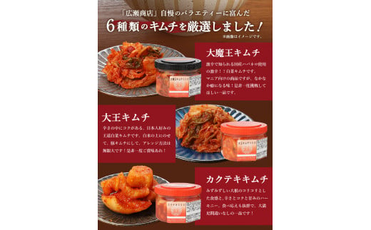 キムチ 詰め合わせ 6種類 バラエティーセット 食べ比べセット 白菜キムチ カクテキ オイキムチ セロリ トマト 大魔王キムチ 胡瓜 山梨 富士吉田