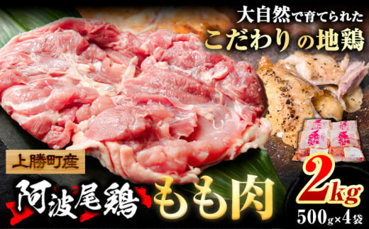 阿波尾鶏のもも肉は、弾力性のある歯ごたえとコクのある旨味を楽しんでいただけます。