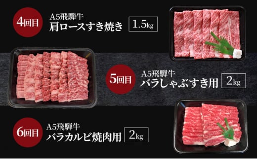 飛騨牛 A5 大満足 飛騨牛三昧  6か月 定期便 ステーキ すき焼き 焼肉[№5787-1083]