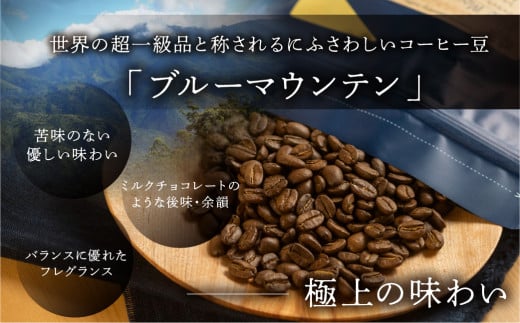 新鮮煎りたて最高級コーヒー豆（ブルーマウンテン 200g×1袋）ミディアムロースト コーヒー 珈琲 豆 下呂温泉 緑の館 珈琲豆 コーヒー豆