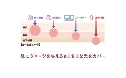 再春館製薬所 ドモホルンリンクル 光対策ドレス クリーム （日中クリーム）25g