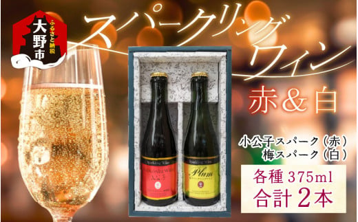 スパークリングワイン小公子＆福井梅 375ml　2本セット【数量限定】