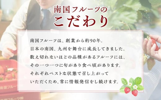 福岡産濃厚あまおうフルーツソース280g×4袋【いちご イチゴ 苺 果物 フルーツ あまおう 博多あまおう あまおうソース  福岡産  デザート パフェ ヨーグルト ソース ババロア ムース 食パン かき氷 シャーベット 人気 おすすめ 福岡県 大任町 ふるさと納税 送料無料 AH008】