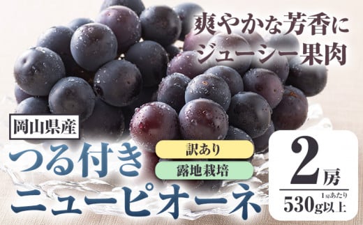  257.【先行予約】 岡山県産 訳ありつる付きニューピオーネ 2房 530g以上 葡萄 果物 厳選出荷 スイーツ フルーツ デザート 岡山県矢掛町《9月上旬-10月末頃に出荷予定(土日祝除く)》 種なしぶどう【配送不可地域あり】