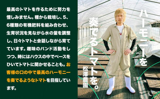 【2025年先行受付】 トマト 大玉トマト 新鮮 2kg 9~12玉 松澤農園《2025年7月上旬-10月下旬頃出荷》 岩手県 九戸村 野菜 岩手県産 国産 お取り寄せ 送料無料 大きい リコピン 美容 甘い 健康