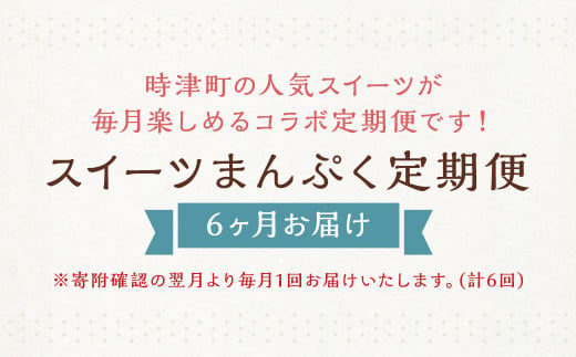 【6ヶ月連続定期便】時津のスイーツまんぷく定期便