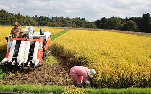 令和6年産 金山産米 つや姫 【精米】 2kg 米 お米 白米 ご飯 精米 ブランド米 つや姫 送料無料 東北 山形 金山町 F4B-0517