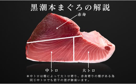 【高知県大月町産 本マグロ】 ブツ切り 900g