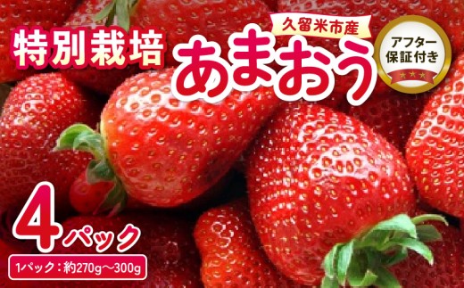 贅沢に4パックお届け