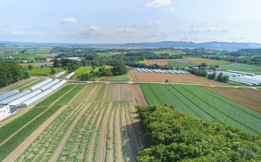 【先行予約】大地の恵み 「とうもろこし2色セット」10本　北海道 栗山町 産地直送　YC081