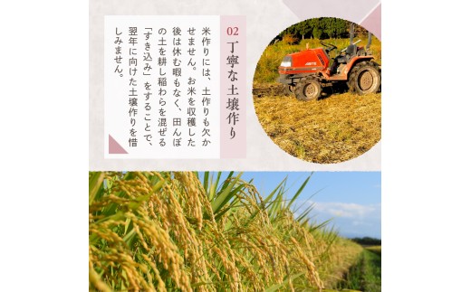 【2025年1月中旬発送】【毎月定期便】令和7年産 新潟県妙高産コシヒカリ2kg×6回（計12kg）