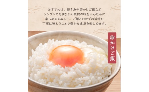 【2025年1月中旬発送】【毎月定期便】令和7年産 新潟県妙高産コシヒカリ2kg×6回（計12kg）