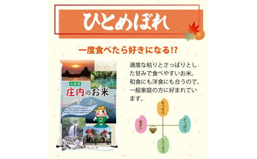 1081T12　【定期便】庄内産ひとめぼれ10kg×6ヶ月連続（12月～5月）