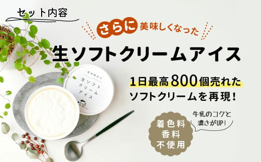 お試しセット！生ソフトクリームアイス＆たい焼き(つぶあん)セット ( アイス 2個 たい焼き 2枚 ) 4000円 アイスクリーム　ソフトクリーム　アイス　たい焼き　つぶあん　粒あん　あんこ　鯛焼き　セット　めでたい　お祝い　スイーツ