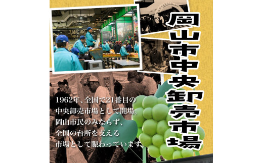 桃 ぶどう 梨 定期便 2025年 先行予約 晴れの国 岡山 の フルーツ 定期便 6回コース もも 葡萄 なし 岡山県産 国産 セット ギフト