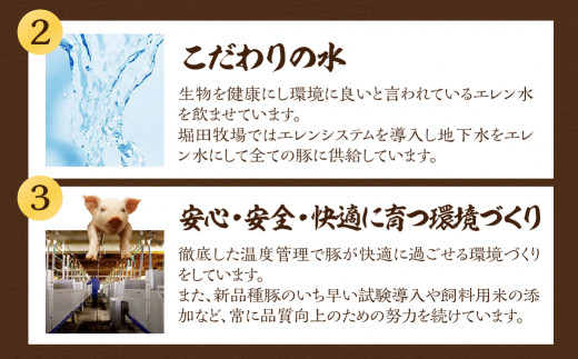 【定期便４回】 飛騨牛＆納豆喰豚 お楽しみ定期便（しゃぶしゃぶ用、焼肉用）天狗 なっとく豚 飛騨牛 牛 牛肉 焼き肉 しゃぶしゃぶ 食べ比べ 定期便 4カ月 定期下呂温泉 おすすめ 豚肉 なっとくとん ブランド豚 国産  ギフト  40000円 4万円 岐阜県 下呂市