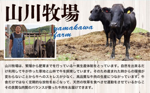 ラポロビーフハンバーグ 150g × 4個 山川牧場 《60日以内に出荷予定(土日祝除く)》北海道 浦幌町 ハンバーグ 肉 惣菜 おかず 牛 牛肉