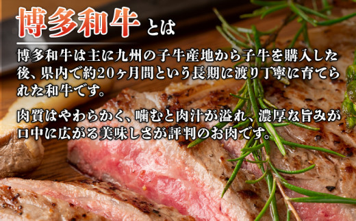 博多和牛サーロインステーキ 250g 黒毛和牛 お取り寄せグルメ お取り寄せ 福岡 お土産 九州 福岡土産 取り寄せ グルメ 福岡県