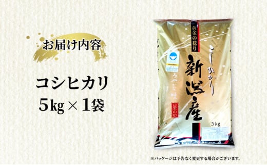 米【新米受付・令和6年産】新潟県上越市産コシヒカリ5kg×1袋 新米  お米 こめ こしひかり 精米 新潟 上越
