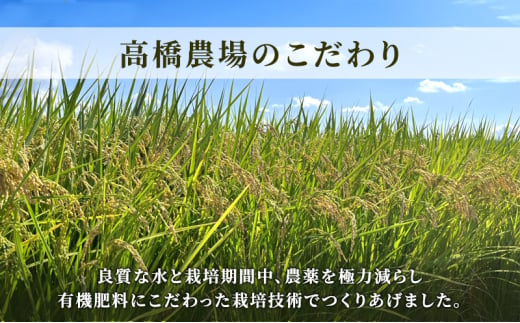 米【新米受付・令和6年産】新潟県上越市産コシヒカリ5kg×1袋 新米  お米 こめ こしひかり 精米 新潟 上越
