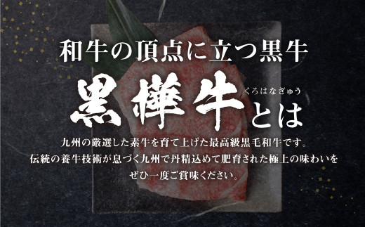 くまもと黒毛和牛 杉本本店 黒樺牛 A4~A5等級 ローススライス すき焼き用 250g×2 計500g