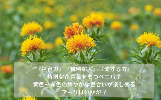 【MioMimosa】【生花からドライフラワーまで楽しめる】鮮やかオレンジ色のベニバナのブーケ