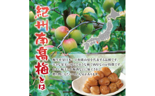 紀州南高梅 つぶれ梅 かつお【ハチミツ入】塩分10%（500g）なかやまさんちの梅干 梅干し 梅干 梅 うめ ウメ【nky017-205k】