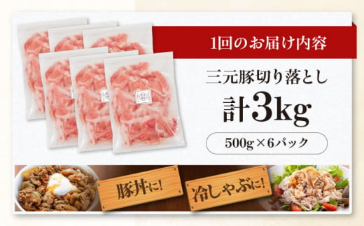  肉 豚肉 生姜焼き 小分け 冷凍 冷凍配送 定期便 60000 60000円