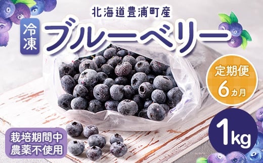 【定期便6カ月】北海道 豊浦町産 冷凍 ブルーベリー 1kg 栽培期間中農薬不使用 【ふるさと納税 人気 おすすめ ランキング 果物 ブルーベリー 冷凍ブルーベリー 国産ブルーベリー 濃厚ブルーベリー 大容量 無農薬 おいしい 美味しい あまい 新鮮 定期便 北海道 豊浦町 送料無料】 TYUS013