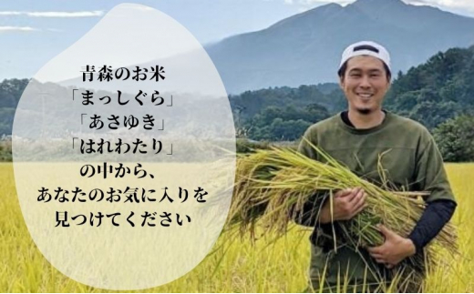 新米 定期便 3ヶ月 令和6年産 無洗米 まっしぐら あさゆき はれわたり 30kg (10kg×3回) 毎月違う品種を楽しめる 米 白米 こめ お米 おこめ コメ ご飯 ごはん 令和6年 青森 青森県