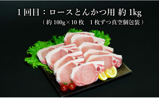 【3回定期便 総計3kg】 ありたぶた 豚ロースバラエティ定期便 3回お届け 小分け 真空パック 豚肉 ロース とんかつ しゃぶしゃぶ 生姜焼き N30-30