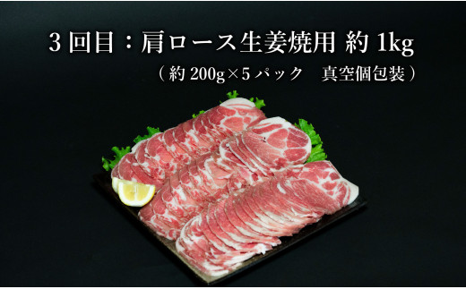 【3回定期便 総計3kg】 ありたぶた 豚ロースバラエティ定期便 3回お届け 小分け 真空パック 豚肉 ロース とんかつ しゃぶしゃぶ 生姜焼き N30-30