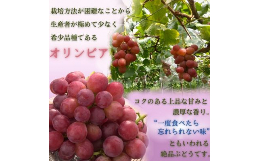 オリジナルオリンピア 1kg 化粧箱入＜沖縄・離島への配送不可＞【1496646】