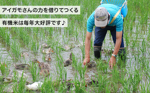 新潟県産コシヒカリ有機米（合鴨農法）5kg【伊藤農園】