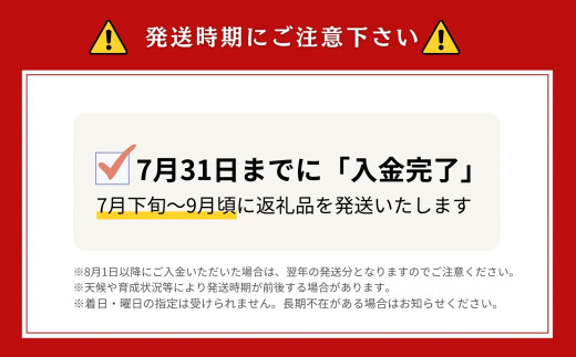 《2025年分受付中》糖度13度以上!市場には出回らない北海道ニセコメロン1玉（1.6kg以上）/高橋農園【37002】