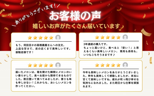 《2025年分受付中》糖度13度以上!市場には出回らない北海道ニセコメロン1玉（1.6kg以上）/高橋農園【37002】