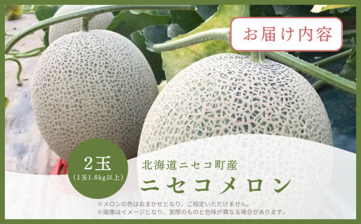 《2025年分受付中》糖度13度以上!市場には出回らない北海道ニセコメロン1玉（1.6kg以上）/高橋農園【37002】