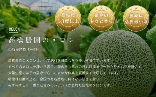 《2025年分受付中》糖度13度以上!市場には出回らない北海道ニセコメロン1玉（1.6kg以上）/高橋農園【37002】