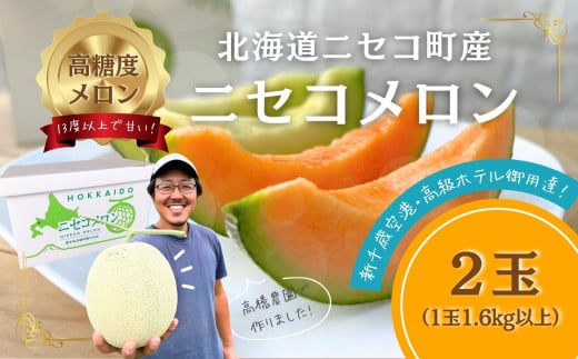 《2025年分受付中》糖度13度以上!市場には出回らない北海道ニセコメロン1玉（1.6kg以上）/高橋農園【37002】