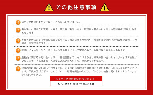 《2025年分受付中》糖度13度以上!市場には出回らない北海道ニセコメロン1玉（1.6kg以上）/高橋農園【37002】