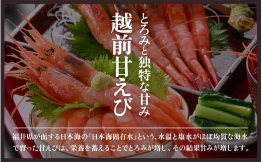 お世話になったあの方へ☆【のし付き】天然！越前甘エビ【大サイズ・卵あり】500g/1箱【えび エビ 海老 甘エビ 甘えび 子持ち 海鮮 お刺身 おせち 無添加 福井県産 国産】 [m17-a063]