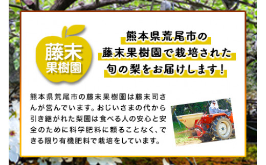 梨 先行予約 荒尾梨 あきづき 約4.5～5kg 秋 旬 和梨 なし フルーツ 果物 新鮮 藤末果樹園《9月中旬-10月上旬頃出荷》