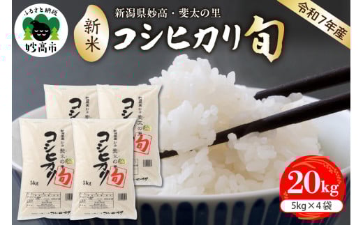 ふるさと納税 【先行予約】【新米】のと米 (新米/精米5kg ふるさと納税 【先行予約】【新米】のと米 (新米/精米5kg