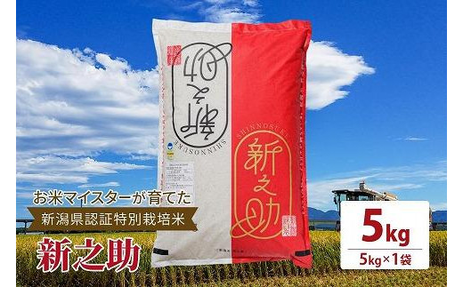 令和5年産お米マイスターが育てた新潟県認証特別栽培米「新之助」上越頸城産 5kg(5kg×1) お米 こめ上越