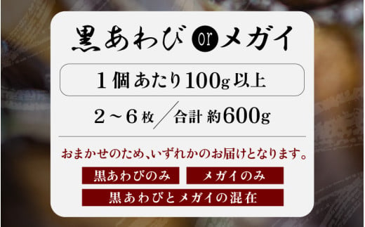 ≪おまかせ≫ 日本海若狭湾の 天然 活アワビ 計600g 鮮度抜群  刺身 お造り バター焼き BBQ あわび 鮑[m17-d006]