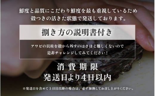 ≪おまかせ≫ 日本海若狭湾の 天然 活アワビ 計600g 鮮度抜群  刺身 お造り バター焼き BBQ あわび 鮑[m17-d006]