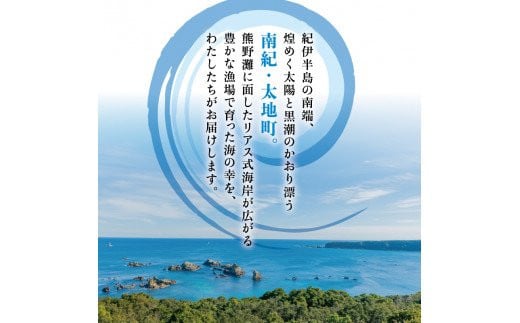 【定番干物24枚セット】干物セット 大容量でアジ さんま カマスが届く ひもの 詰め合わせ 干物 さんま サンマ アジ あじ カマス かます【sio112A】