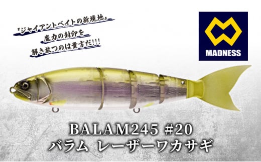 BALAM245 #20 バラム レーザーワカサギ